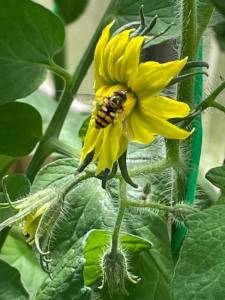 IMG_0685.jpeg