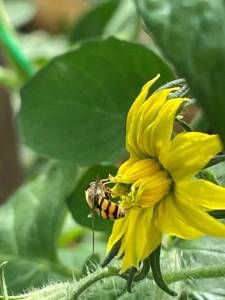 IMG_0686.jpeg