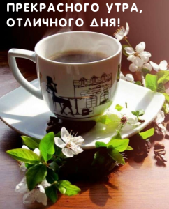 IMG_0765.png