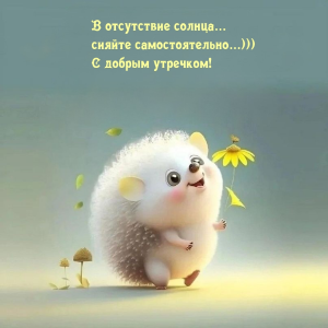 IMG_0793.png