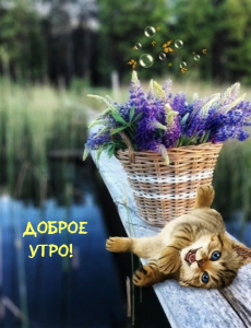 IMG_0794.png