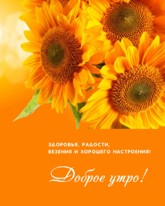 IMG_0796.png