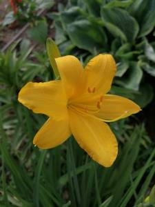IMG_20240602_075706.jpg