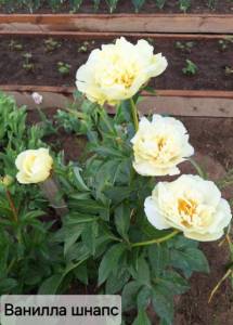 IMG_20240613_193346_527.jpg