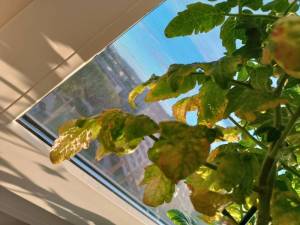 IMG_20240620_222818.jpg