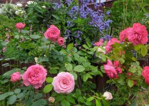 IMG_20240623_165141.jpg