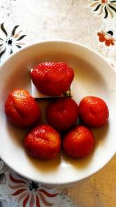 IMG_20240625_073640.thumb.jpg.8b1e44472b811190902fa004c9543b7a.jpg