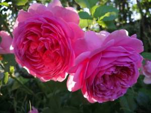 IMG_20240628_185520.jpg