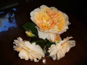 IMG_20240629_185644.thumb.jpg.16a32e7a811daba9daa520423e8ed87f.jpg