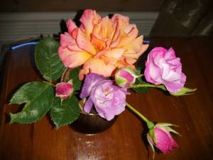 IMG_20240629_185654.thumb.jpg.a859e8d8b003043e061f285a21d39424.jpg