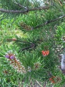 IMG_3035.jpeg