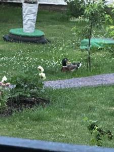 IMG_3193.jpeg