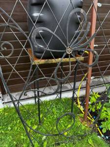 IMG_3267.jpeg