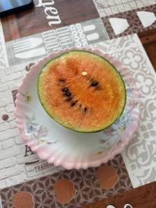 IMG_3361.jpeg
