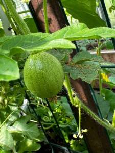 IMG_3386.jpeg