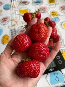 IMG_8051.thumb.jpeg.3bbc391e6ed9a6e34ac2cc4bff170347.jpeg