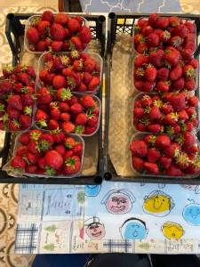IMG_8142.thumb.jpeg.f65dbc23efba08edf091b5fb4c4c01bd.jpeg