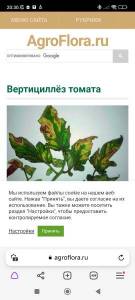 Screenshot_2024-06-21-20-30-20-496_com.yandex.browser.jpg