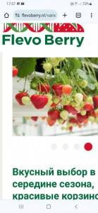 Screenshot_20240622-175717_Chrome.jpg