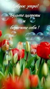 ce0390c2615637869fbe7c251ba98b0e.jpg
