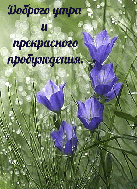 gifkin_ru_1888.thumb.gif.75b23fd70597a81306b50e3064f6a04a.gif