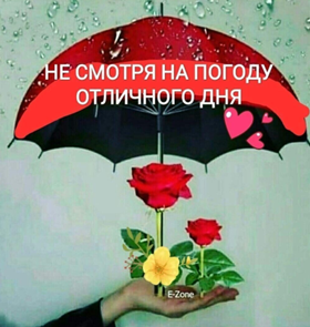 image.png.17c95f8254cffbea7bad7cef7e14009e.png