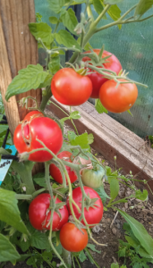 image.thumb.png.34609166ac98d945c4414b321a57fb0b.png