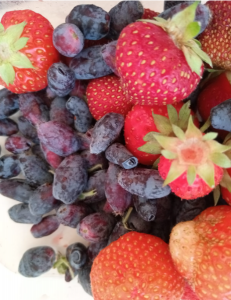 image.thumb.png.3d24c11ef153d1abaaf8e419c5526d13.png