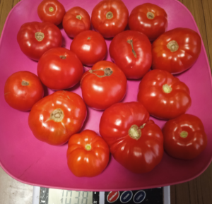 image.thumb.png.6f60a8940634d8e3f43639068d1c92a1.png