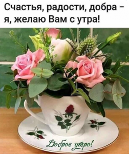 image.thumb.png.8d858ddd686de94337304ae1b670449c.png