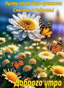 image.thumb.png.9939a71028c7a661dfdda870f8149f9b.png