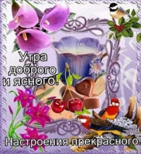 image.thumb.png.c5c517723fb8ceff03275670bff74720.png