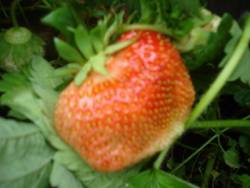 DSC00927.JPG