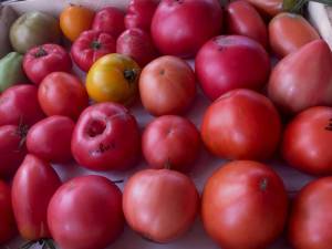 1050649390_WhatsAppImage2024-07-14at23_14.50(3).thumb.jpeg.9ec26908f1305b30069d1465895cb9cf.jpeg