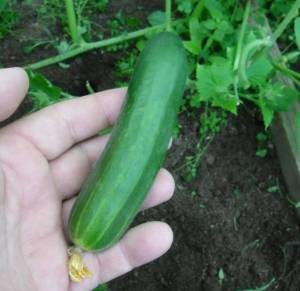 11.thumb.JPG.59adbd9db034e5fd827e6087a638dbd5.JPG