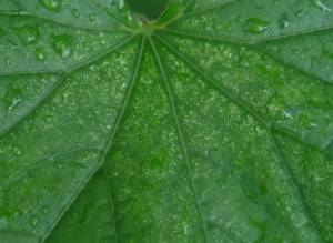 12.thumb.JPG.e05114f5f6a4fb4bf636fe6dabc2abf5.JPG