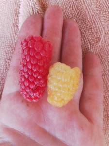253491738_.thumb.jpg.a8ec3ef63240ecdda0be1a0d84bf808a.jpg