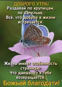 488308584_WhatsApp2024-07-0306_10.16_6a8a13b3.thumb.jpg.f4a77d35d89414402aa8191d1a3cc52e.jpg