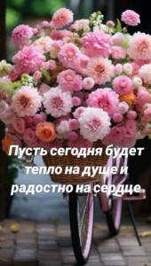53b62c8cd2eb0f95a84bcc1e5f3f56a3.jpg