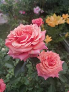 596a9dbe-594d-485c-8847-97c33c319d58.jpg