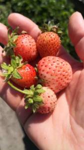 IMG-20240629-WA0296.jpeg