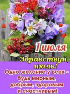 IMG-20240701-WA0006.jpg