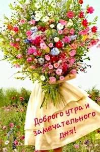 IMG-20240702-WA0002.jpg