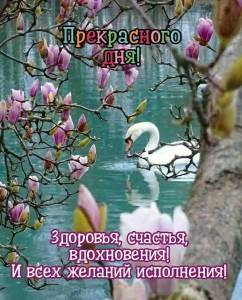 IMG-20240706-WA0000.jpg