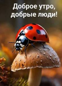 IMG-20240707-WA0002.jpg