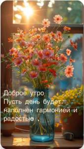IMG-20240708-WA0003.jpg