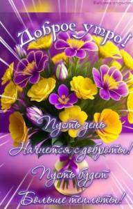 IMG-20240709-WA0000.jpg