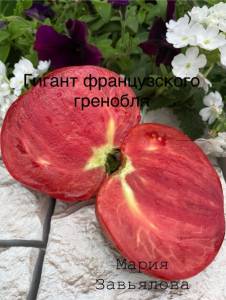 IMG_0127.jpeg