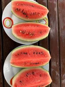IMG_0413.thumb.JPG.9973c84915f29c888fff20cd3560a5c8.JPG