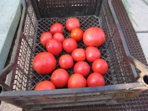 IMG_0476.thumb.JPG.ea44f90f6d3a38e9f057425a7545b611.JPG
